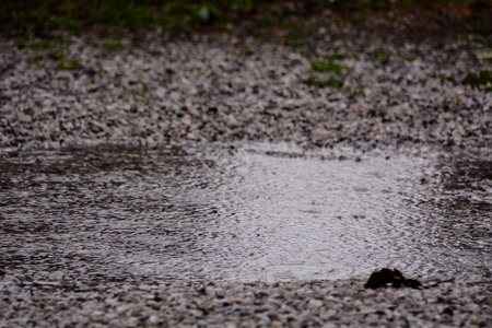 Photo picture abstract blur background from raining flow down on the floor