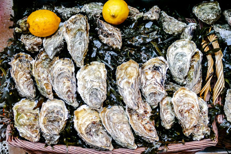 Typical french raw food oyster in Paris City