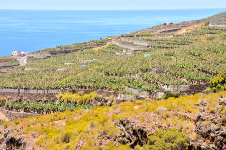 view of the coast, beautiful photo digital pictureの写真素材