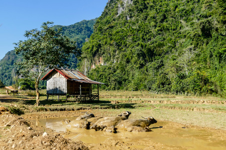 house in the mountains, beautiful photo digital pictureの写真素材