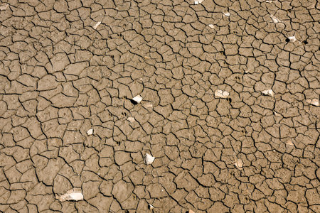 Photo Picture of Dry cracked mud earth texture