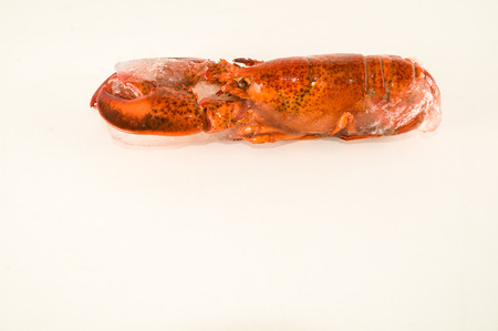 Photo picture of a delicious freshly steamed lobsterの写真素材