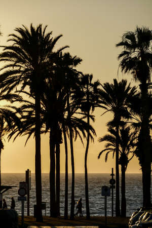Cloudscape, Colored Clouds at Sunset near the Oceanの写真素材