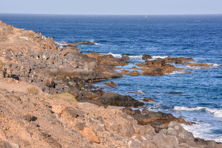Dry Lava Coast Beach in the Atlantic Ocean
