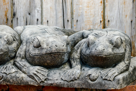 turtle on the wall, beautiful photo digital pictureの写真素材