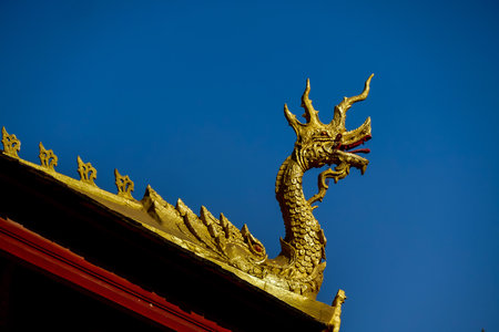 dragon on the roof of buddhist temple, beautiful photo digital pictureの写真素材