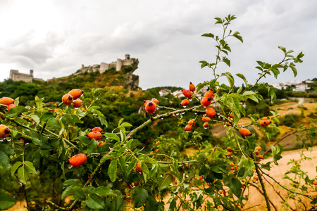 Photo Picture Scenic photography landscape European natural countrysideの写真素材
