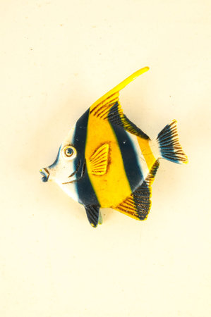 Close-up of fish plastic animal Object on a White Background
