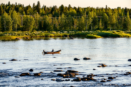 ducks in the lake background.の写真素材