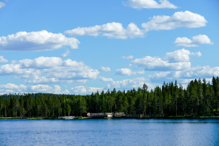lake in forest, beautiful photo digital picture
