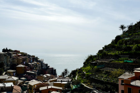 view of the city, photo digital picture
