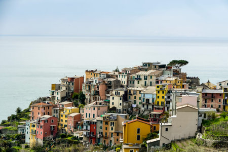view of monaco, beautiful photo digital picture
