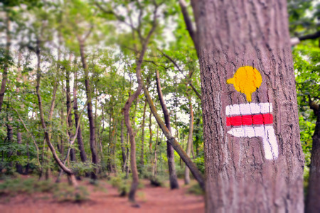 Photo Picture Scenic photography landscape European natural countrysideの写真素材