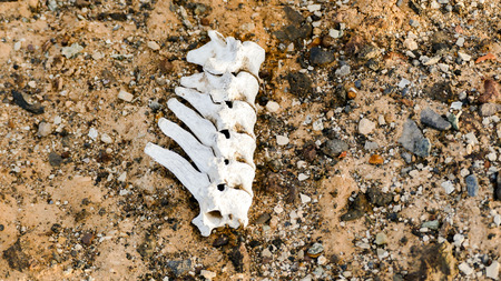 View of the Desert Tabernas in Almeria Province Spainの写真素材