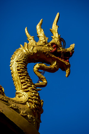 chinese dragon on the roof, beautiful photo digital pictureの写真素材