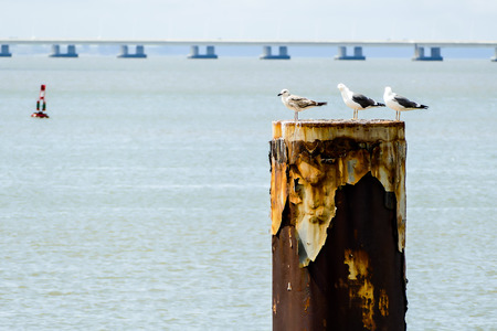 fishing boat on the beach, beautiful photo digital pictureの写真素材