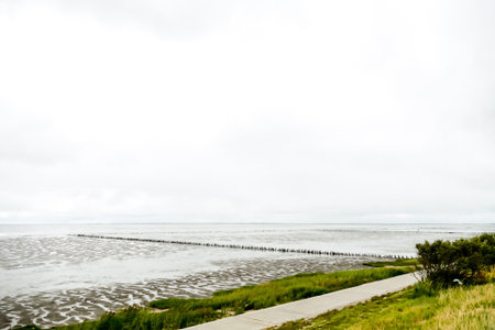 path to sea background.