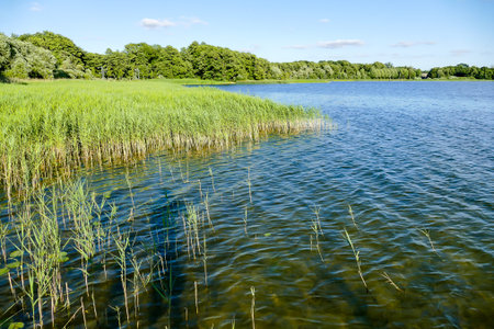landscape with lake and sky