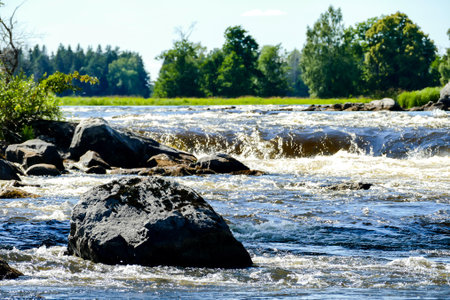 river in forest, beautiful photo digital picture