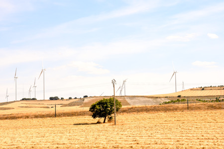 Photo Picture Scenic photography landscape European natural countrysideの写真素材
