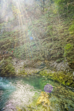 stream in forest, beautiful photo digital pictureの写真素材