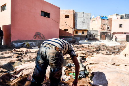 Tannery in Marrakech, Morocco north east Africaの写真素材
