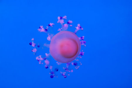 abstract background with balls, beautiful photo digital picture