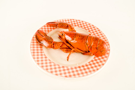 Photo picture of a delicious freshly steamed lobsterの写真素材