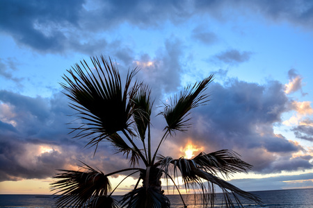 Cloudscape, Colored Clouds at Sunset near the Oceanの写真素材