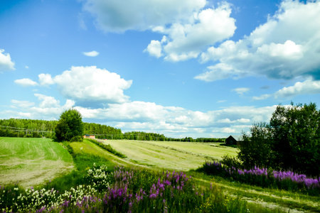 green field and blue sky, beautiful photo digital picture