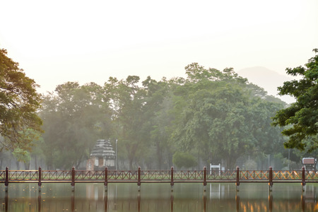 trees in fog, beautiful photo digital pictureの写真素材
