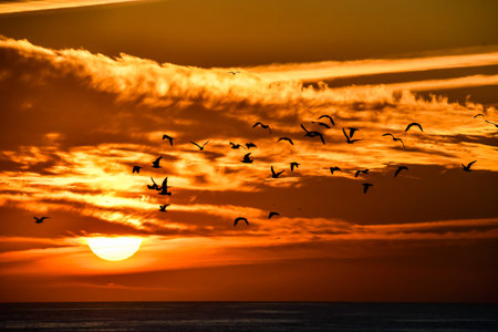 sunset on sea, beautiful photo digital pictureの写真素材