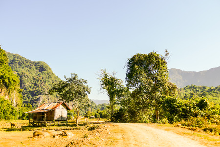 road to the village, beautiful photo digital pictureの写真素材