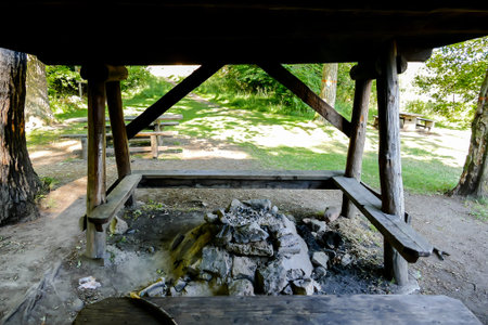 bridge in the forest, beautiful photo digital picture