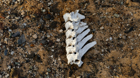 View of the Desert Tabernas in Almeria Province Spainの写真素材