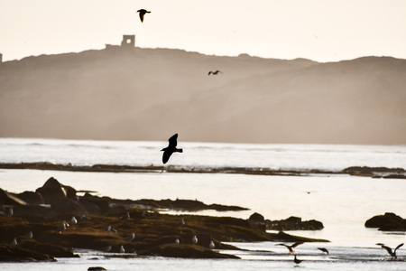 fishing at sunset, beautiful photo digital pictureの写真素材