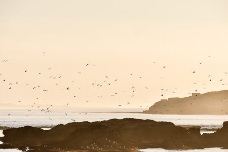 waves on beach, beautiful photo digital pictureの写真素材