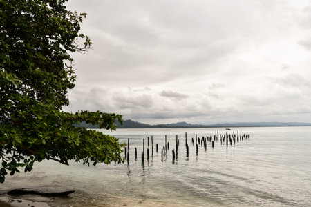 view of beach, photo as a background, digital image