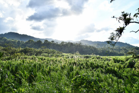 view of mountains, photo as a background, digital image