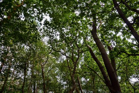 Photo Picture Scenic photography landscape European natural countrysideの写真素材