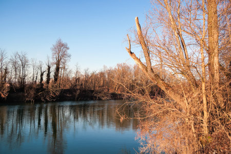 lake in autumn, photo as a background, digital image