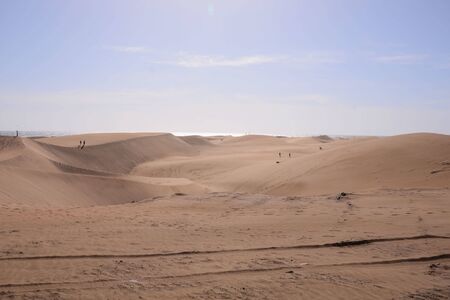 Photo Picture of a Beautiful Dry Desert Landscape in Maspalomas Gran Canaria Canary Islandsの写真素材