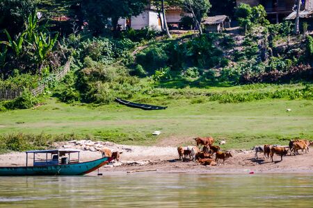 boats on the river, beautiful photo digital pictureの写真素材