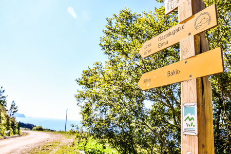 sign in park, photo as a background, digital image