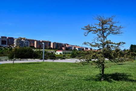 park in the city, photo as a background, digital imageの写真素材