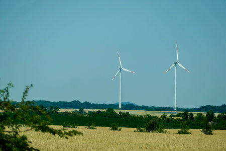 wind turbines in the field, beautiful photo digital picture