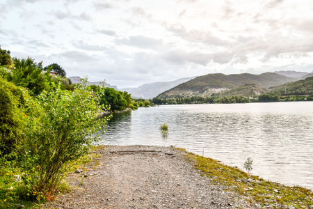 river in forest, photo as a background, digital image