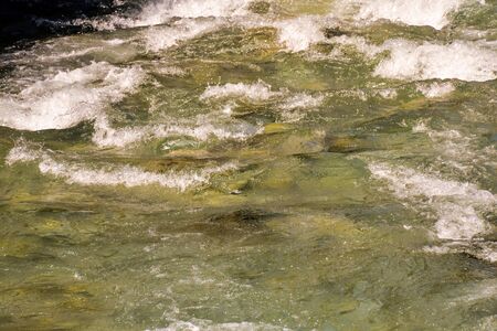 Picture of the Water Pattern Texture Backgroundの写真素材