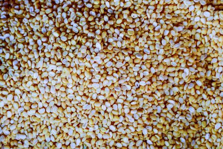 Beautiful photo of Thai Food in Bangkok Cityの写真素材