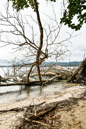 tropical beach and sea, photo as a background, digital image